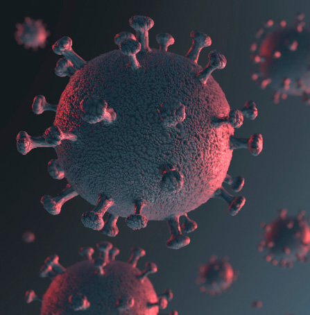Corona Virus