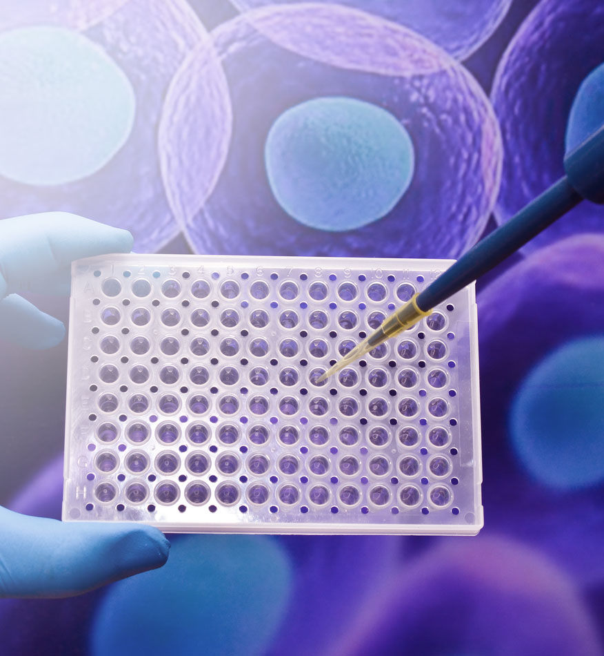 Analytical Development & Functional Assays