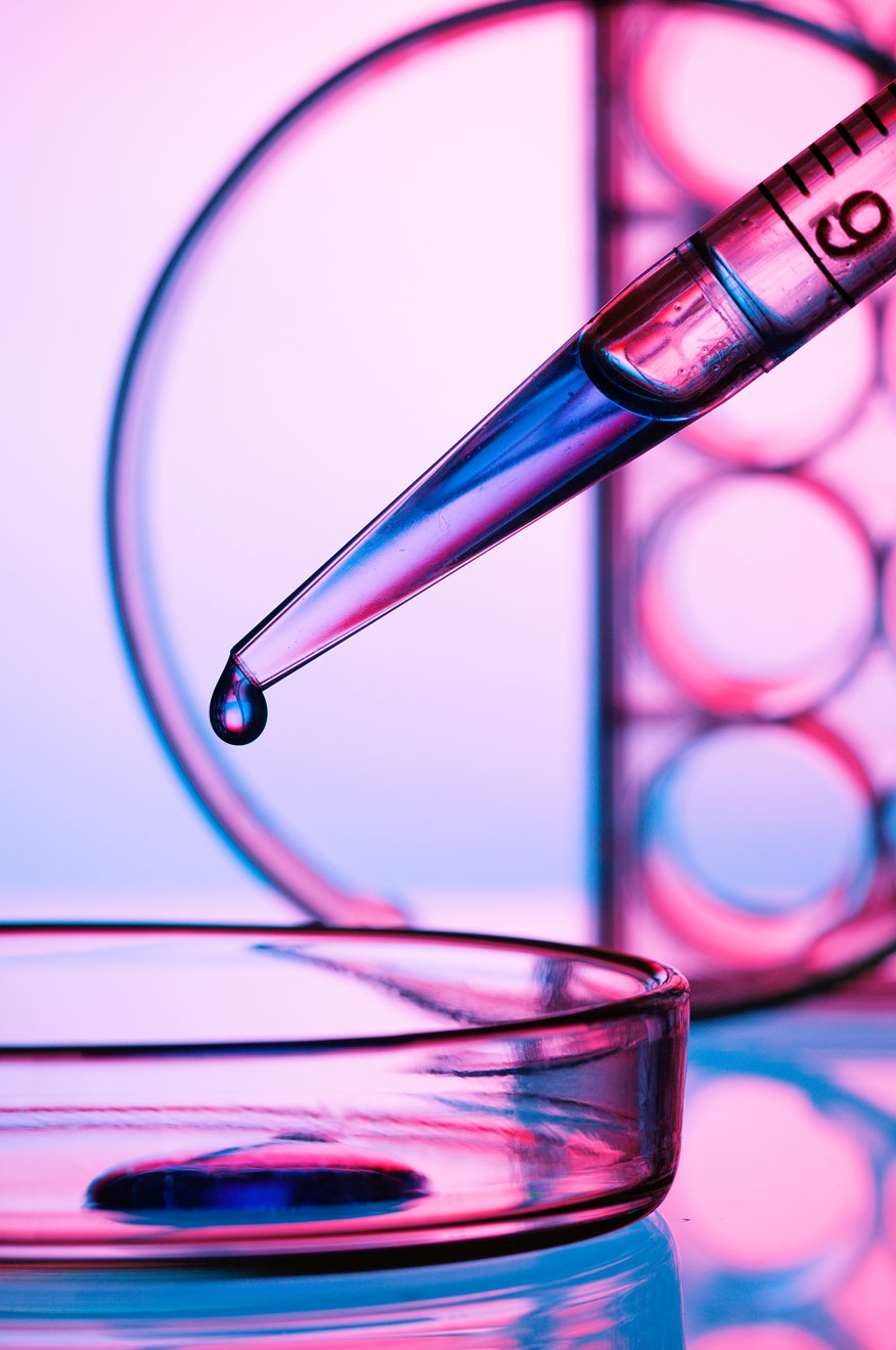 Cell line Development